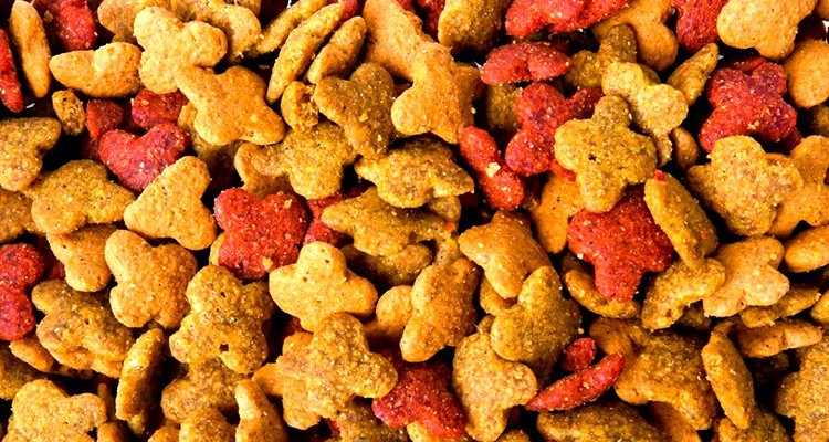 Pet Food
