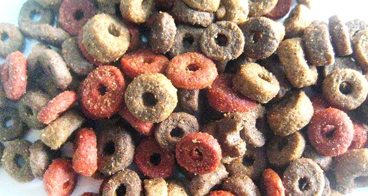 Pet Food