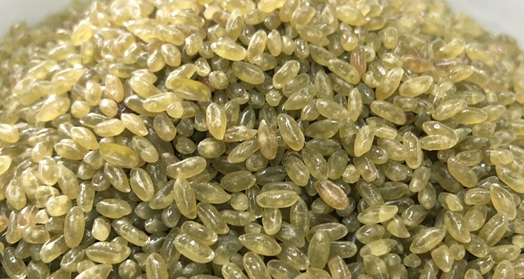Artificial Rice