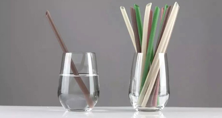 Edible straw