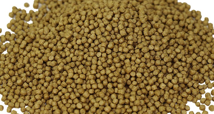 Fish Feed