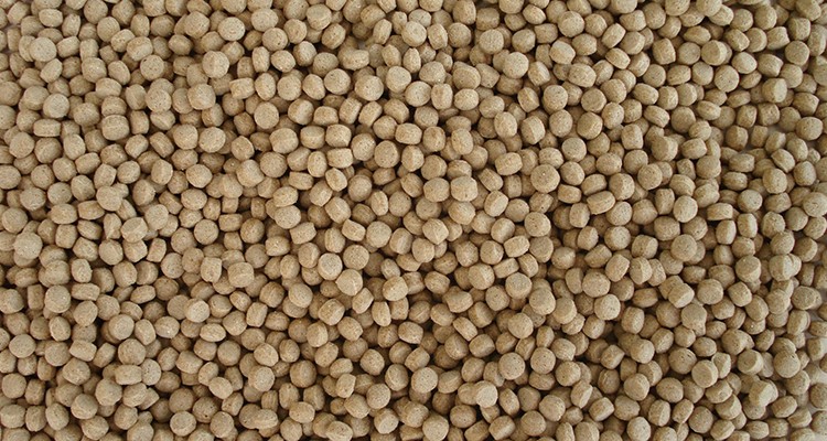 Fish Feed