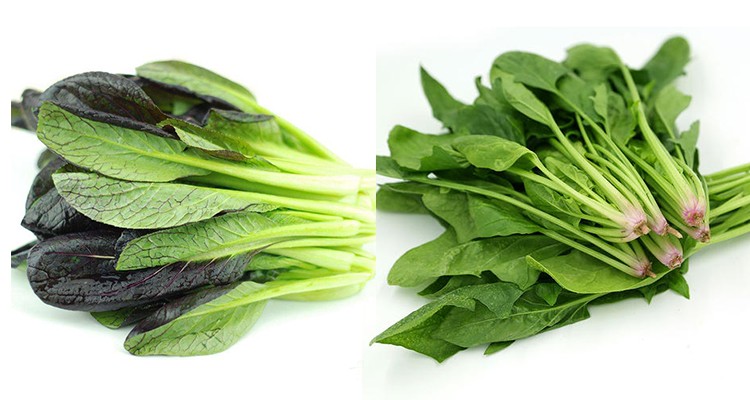 Fruit And Vegetables