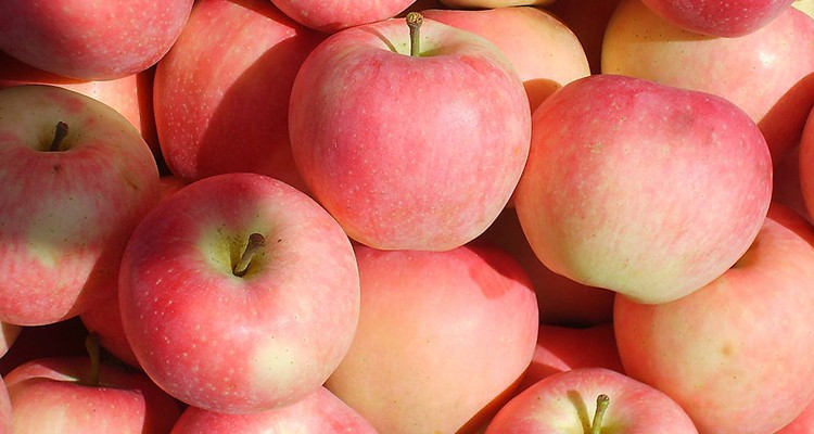 Fruit And Vegetables