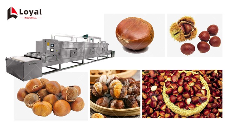 50KW Chestnut Microwave Drying Sterilization Baking Machine