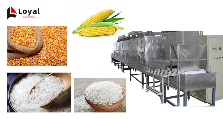 Industrial Tunnel Automatic Microwave Rice Power Grain Power Drying and Sterilizing Machine