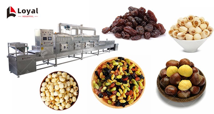 Chestnut Lotus Seeds Raisins Microwave Bake Puffing Equipment
