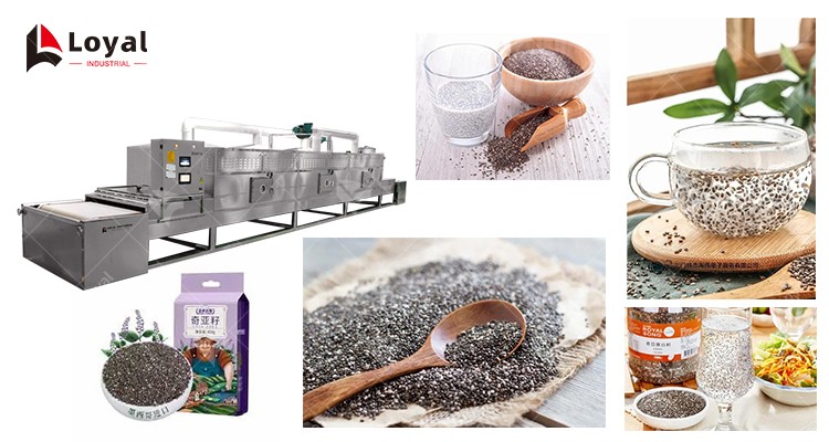 Chia Seeds Microwave Dryer