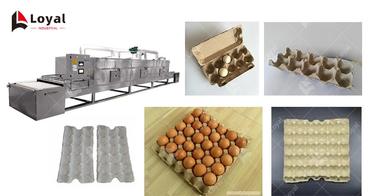 Tunnel Continuous Conveyor Belt Type Egg Tray Drying Microwave Machine