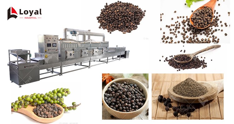 Conveyor Belt Type Microwave Black Pepper Drying Machine