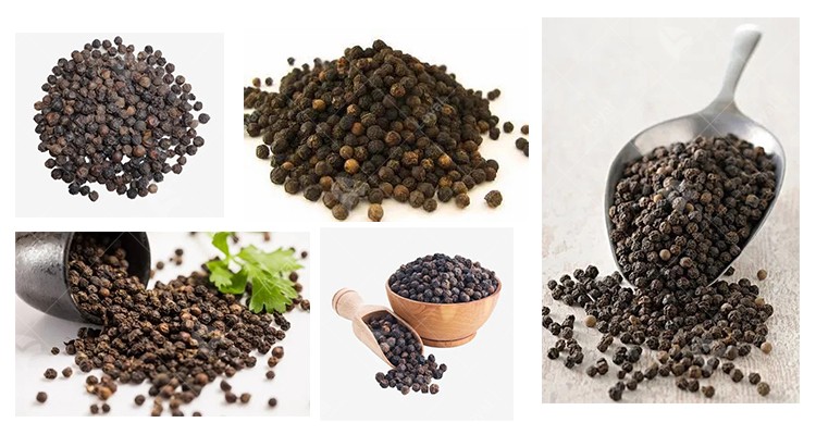 Conveyor Belt Type Microwave Black Pepper Drying Machine