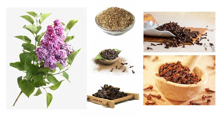 Introduction of Clove Microwave Herb Dryer