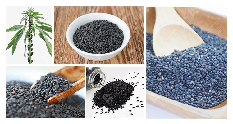 Full Automatic Microwave Grain Sesame Drying Roasting Machine