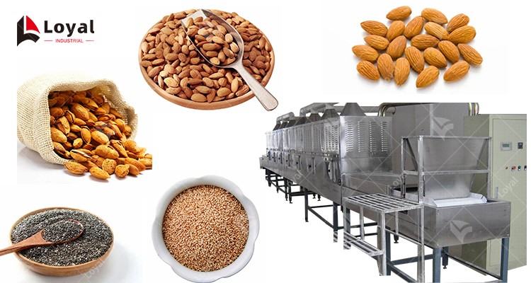 Tunnel Microwave Badam Almonds Macadamia Chia Sesame Curing Sterilizing Dryer