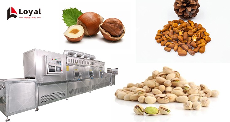 Tunnel Microwave Baking and Sterilizing Equipment Pine Nuts Hazelnuts Pistachios Drying Machine