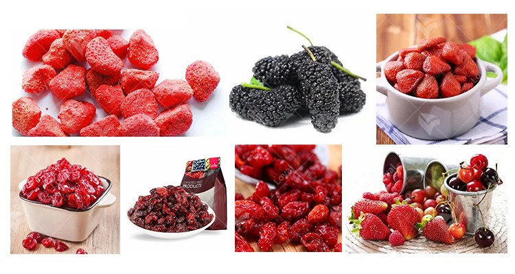 Turnkey Berries Drying Tunnel Microwave Oven