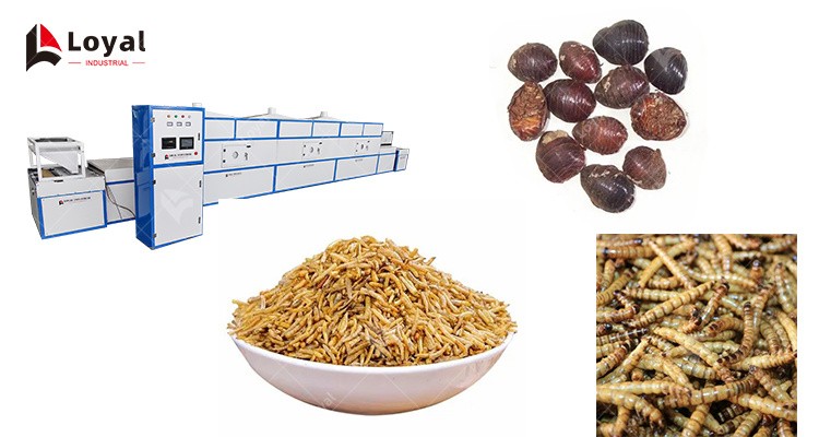 Fish insect food dryer water flea dehydrator machine microwave insect baking equipment