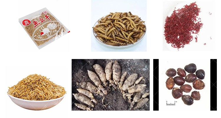 Fish insect food dryer water flea dehydrator machine microwave insect baking equipment