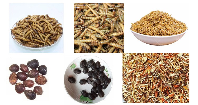 Fish insect food dryer water flea dehydrator machine microwave insect baking equipment