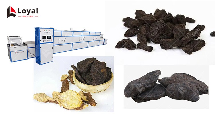 Herb Medicine Microwave Polygonum Multiflorum Angelica Drying Sterilization Machine Equipment