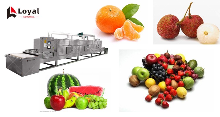 Pineapple Fruit Industrial Hot Air Dryer Machine