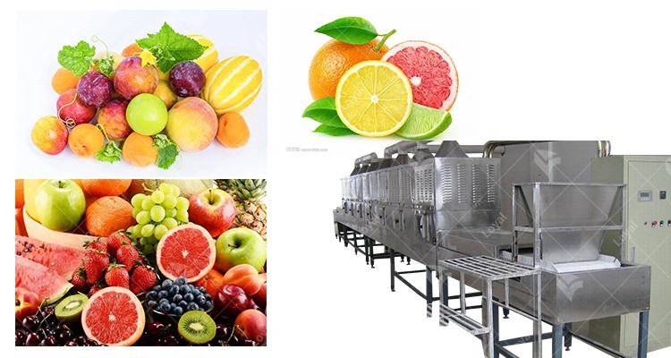 Pineapple Fruit Industrial Hot Air Dryer Machine