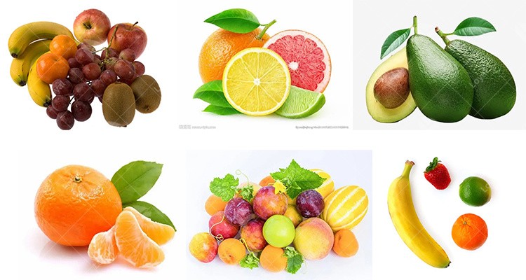 Pineapple Fruit Industrial Hot Air Dryer Machine