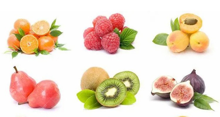 Pineapple Fruit Industrial Hot Air Dryer Machine