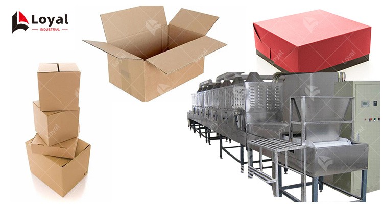 Tunnel Insects powder tea carton paper box snacks food microwave tunnel dryer machine