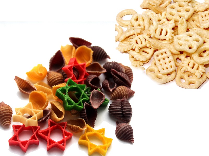 Introduction of Single Screw Extruder Food Processor Machine