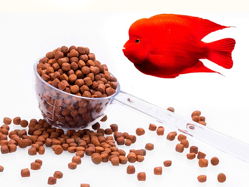 Effect of Fish Feed Making Machine on Feed