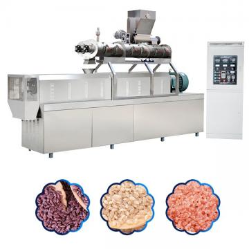 Artificial Rice Making Process Optimization And Structure Characterization