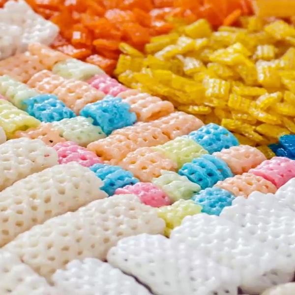 Single Screw Cooking Forming Extruder Process technology