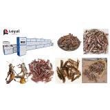 Industrial Microwave Grasshopper Locust Edible Insects Drying and Dehydration Machine