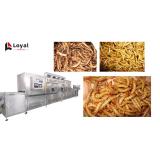 Bread Worm Dryer Tenebrio Molitor Insect Zophobas Atratus Microwave Drying Machine